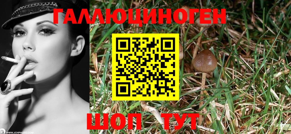 Псилоцибиновые грибы GOLDEN TEACHER  Вход с VPN  Коряжма 